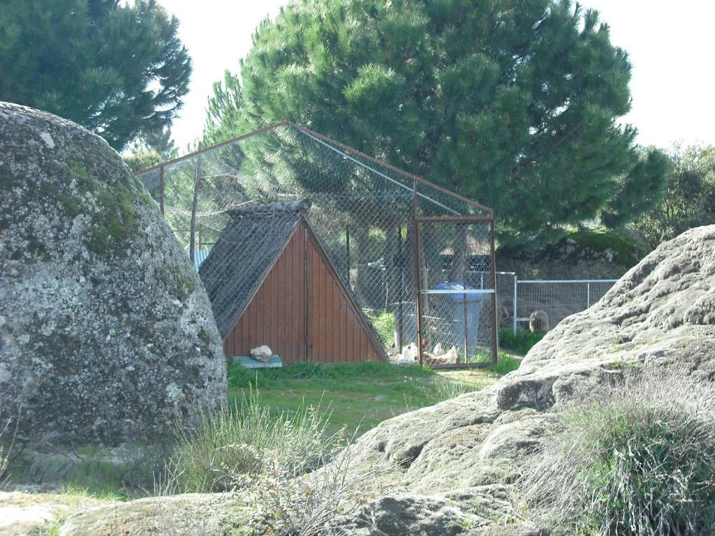 Landhuis Quinta Da Alma Cheia *